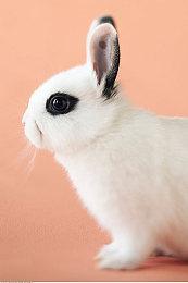 《魔咒之地》新实机演示12月10日公开 时长约11分钟